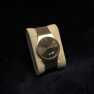 Skagen Mesh Band Watch